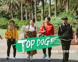 17吃瓜官网APP下载《TOP DOG》免费在线观看