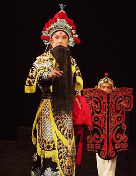 17吃瓜网《袁崇焕2009》免费在线观看