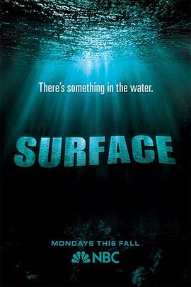 17吃瓜官网APP下载《水下之秘 Surface》免费在线观看