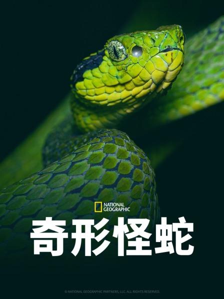 17吃瓜网《奇形怪蛇》免费在线观看